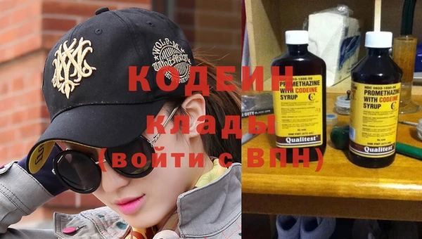 хмурый Инта