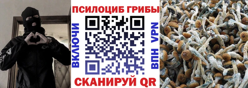 Псилоцибиновые грибы Cubensis  OMG ТОР  Белёв 